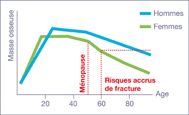 courbe de l'évolution de la masse osseuse